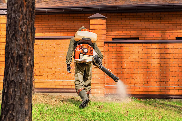 Trusted Rodent Control service in Mountain Grove, MO - Nex Pest Control